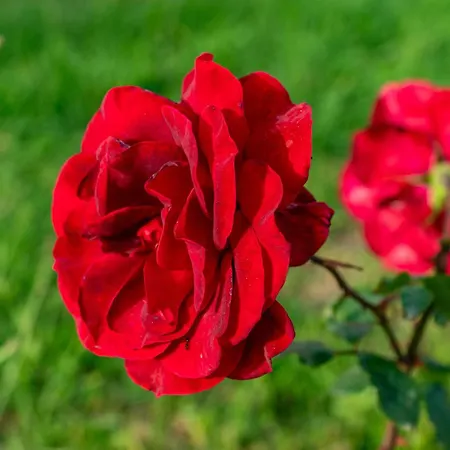 Kosmos St3 In Agios Stefanos מלון דירות 4*